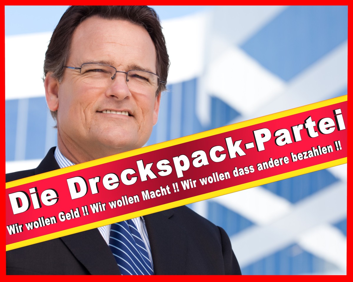 Bundestagswahl 2017 CDU SPD FDP AFD Piratenpartei Linke Gruene NPD